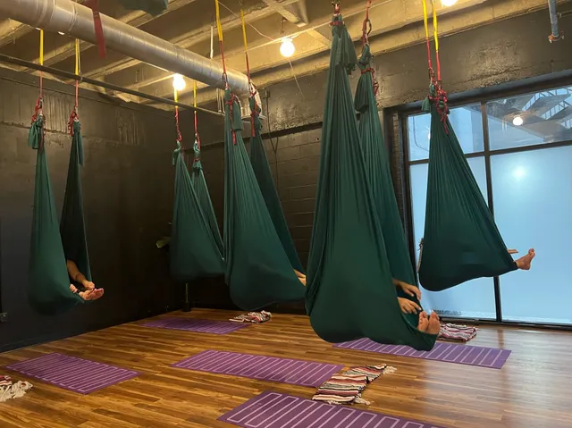 Movement Lounge, By Yoga Muttz