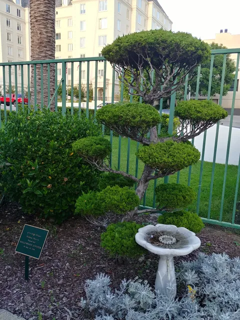 Nichiren Shoshu Myohoji Temple