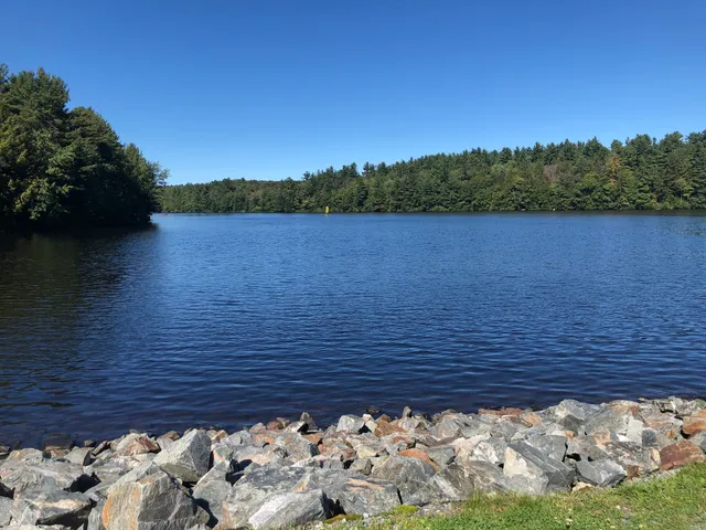 DAR Forest - Massachusetts