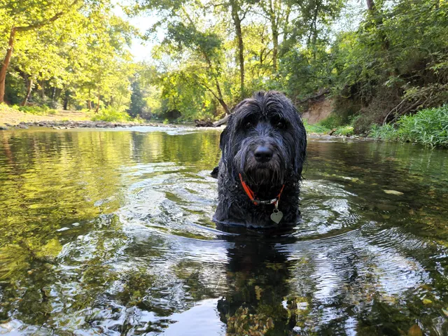 Rocking K Farms at Spring Creek