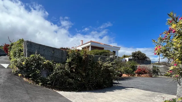 Apartamentos Los Palitos