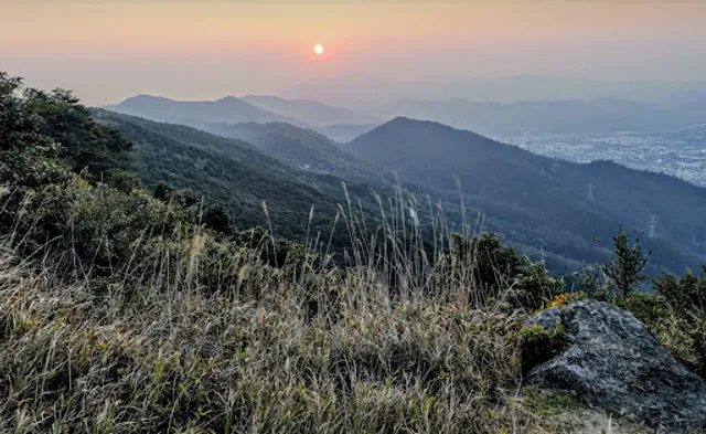 Tai Mo Shan Country Park