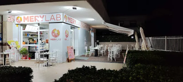 MERY LAB