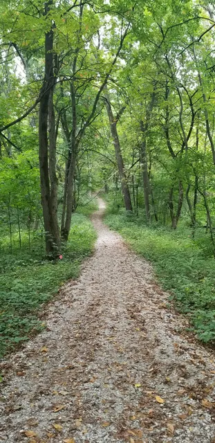 Strasser Woods State Preserve