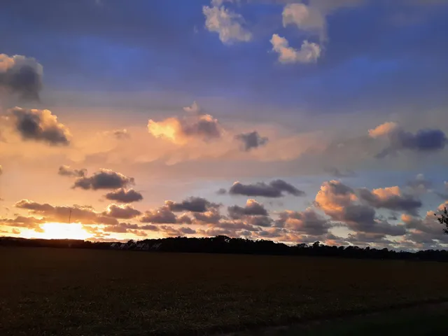 Bungalowpark De Schelp