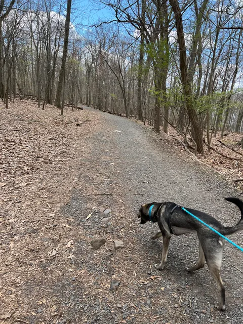 Mills Reservation Parking Lot