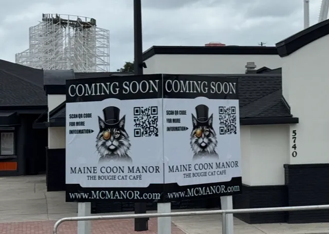 Maine Coon Manor Cat Cafe