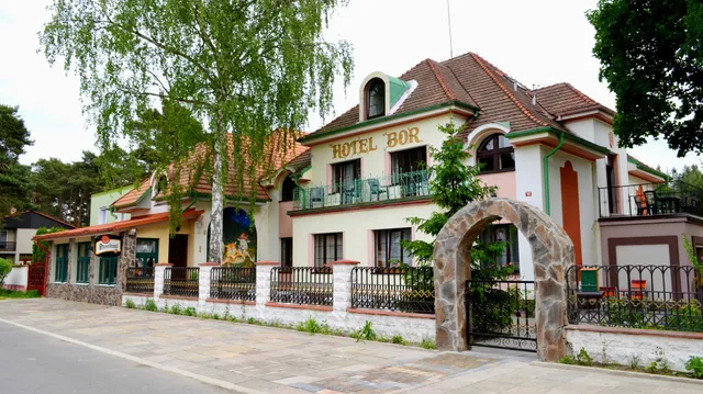 Hotel Bor