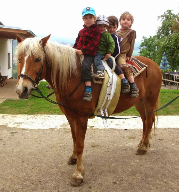 Riding Koaser Minerl