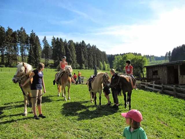 Pferdehof homeundpferde