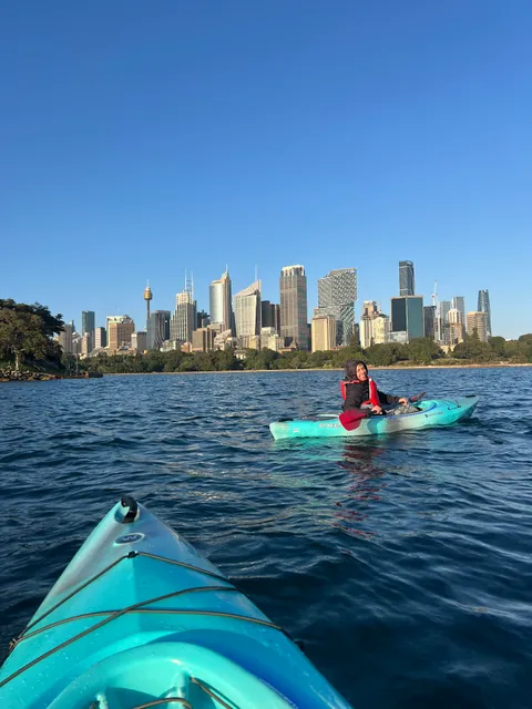 Sydney Kayaking Tours