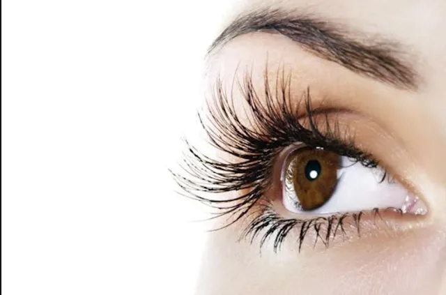 EyeLoveLash ｜classic hybrid volume lash extension｜lash lift