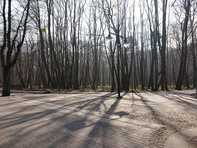 Aleja Witolda Kukowskiego