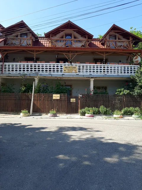 MON AMI SARATA MONTEORU BUZAU