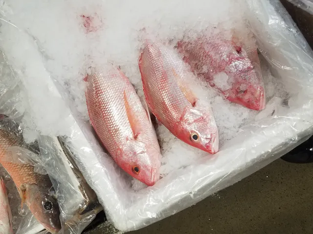 Monte's Seafood Emporium