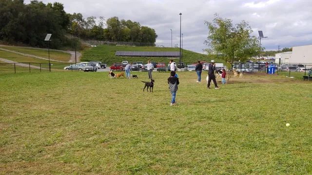 Beardmore Freedom Dog Park