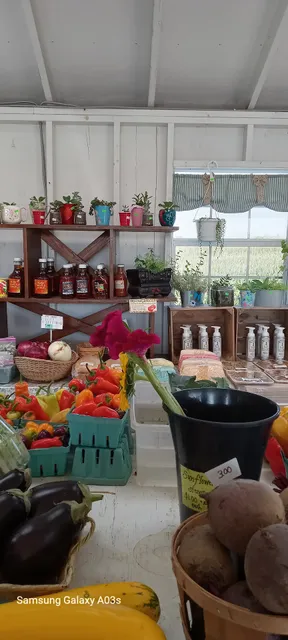 Martin's Roadside Stand