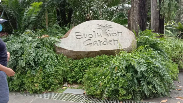 Evolution Garden