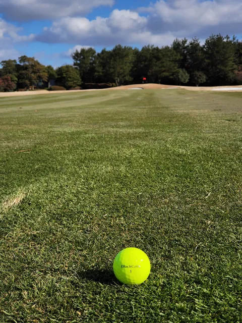 Jeju Haevichi Country Club