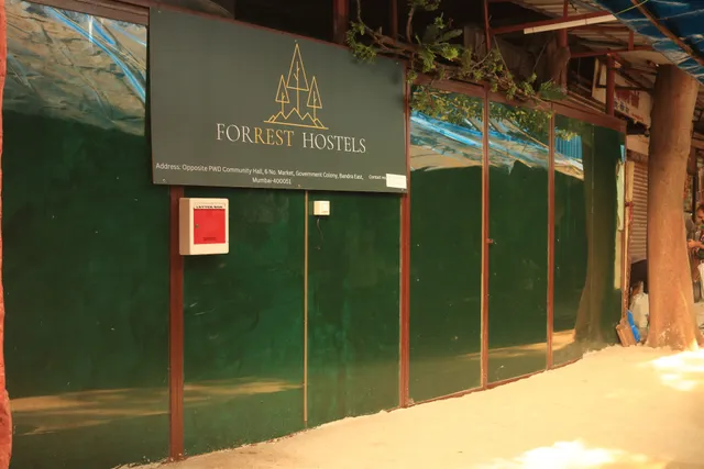 Forrest Hostels