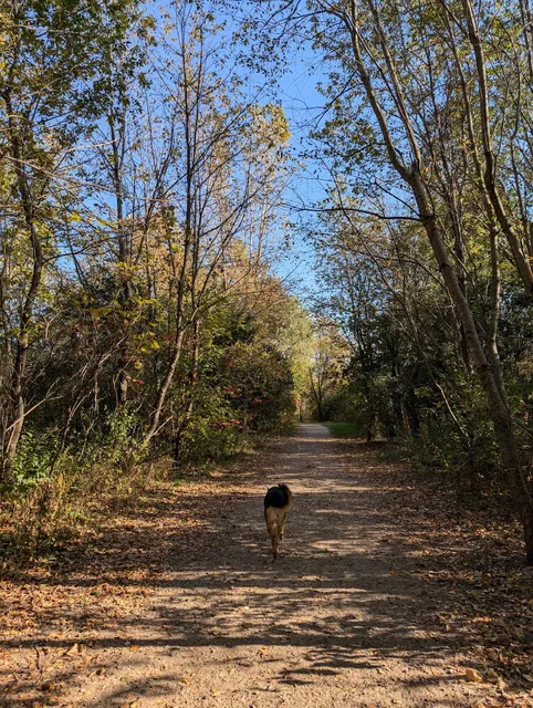 Cleary Lake Dog Park