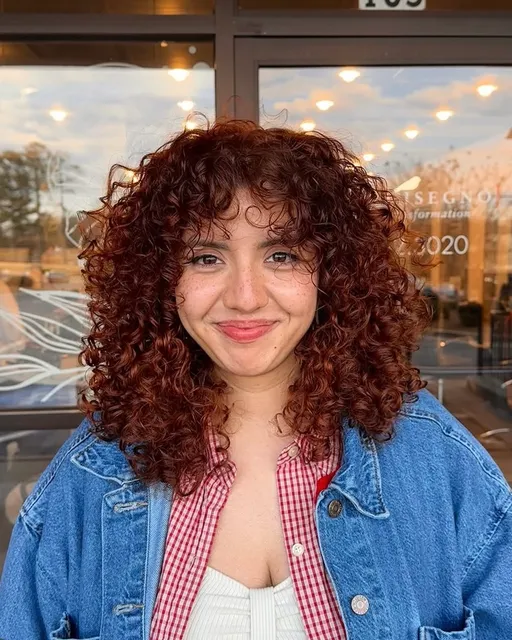 Salon Disegno - Dacula