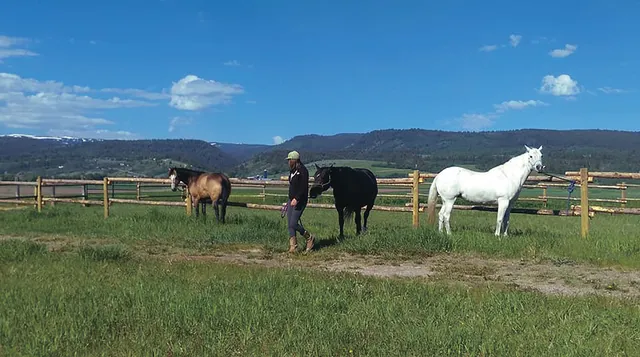 Teton Outdoor Adventures