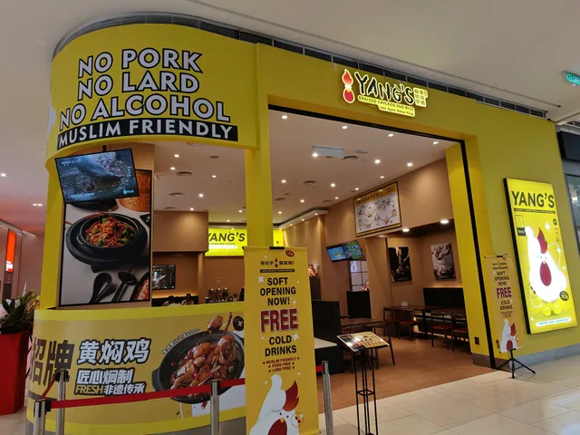 Yang’s Braised Chicken Rice 杨铭宇黄焖鸡米饭