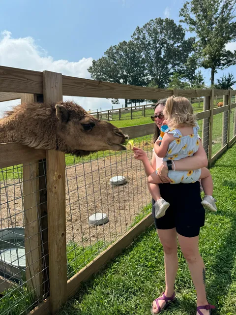 Mitchell's Petting Zoo & Exotics