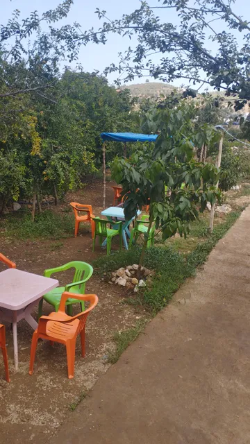 مقهى مطعم العين