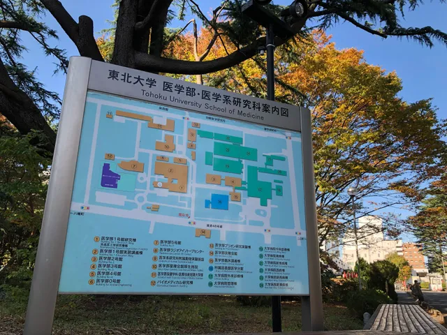 Tohoku University School of Medicine