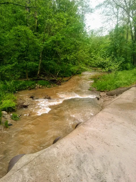 Amherst/Plymouth Wildlife Management Area