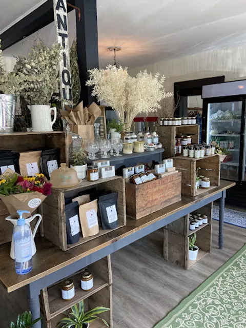 Rosa Rugosa & The Gratto