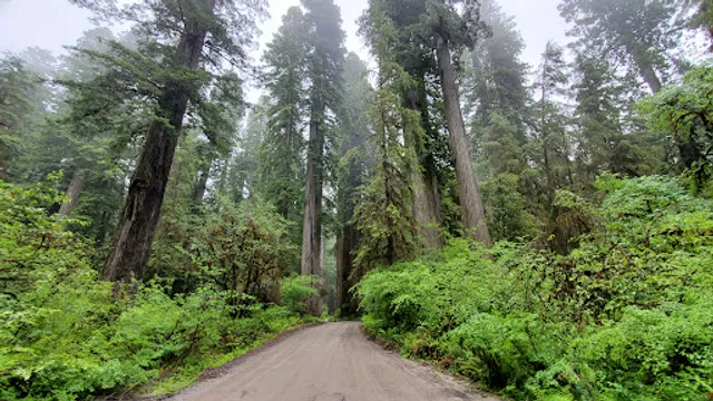 Jedediah Smith Redwoods State Park Visitor Center