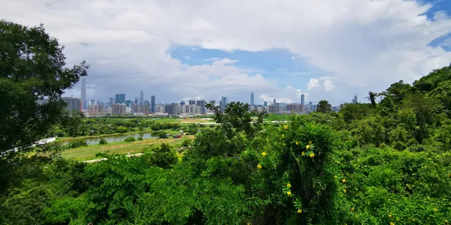 Lok Ma Chau Lookout