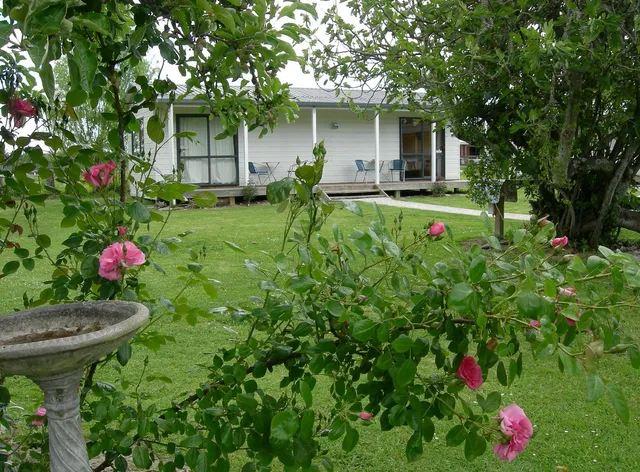 White Elephant Accommodation