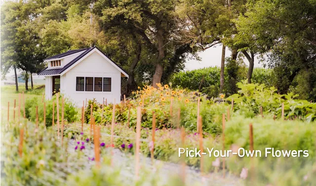 Royal Oaks Farm - Flowers