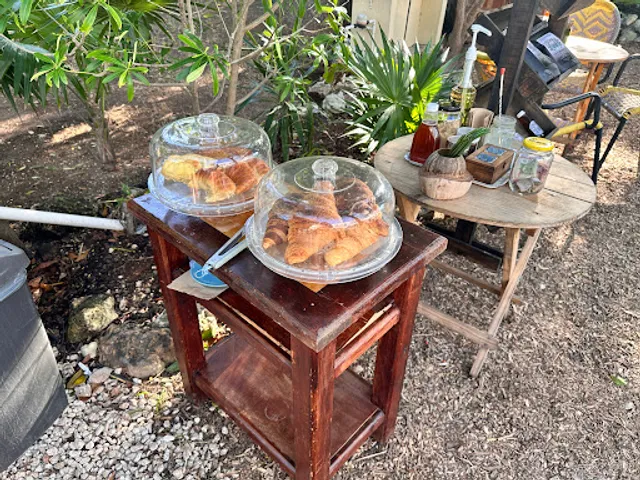 Lacandona Coffee Bus