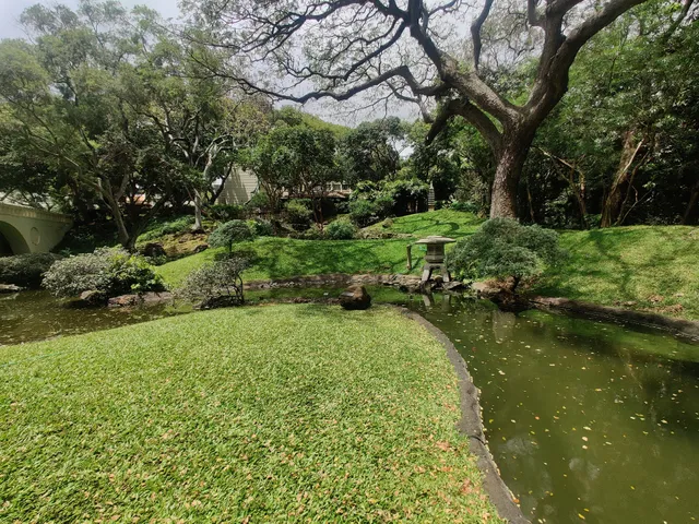East-West Center Japanese Garden