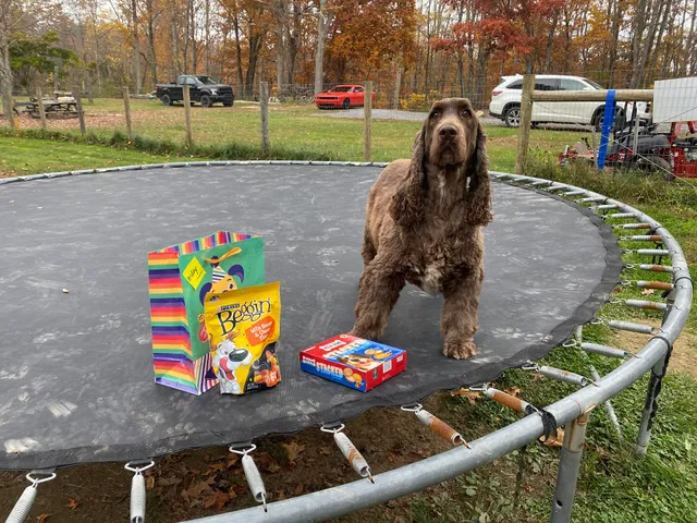 Almost Heaven Bark and Board