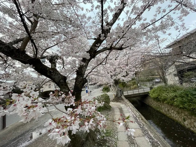 Philosopher's Path