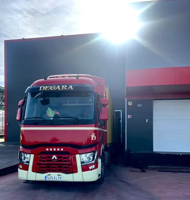 Electronova Neumeses