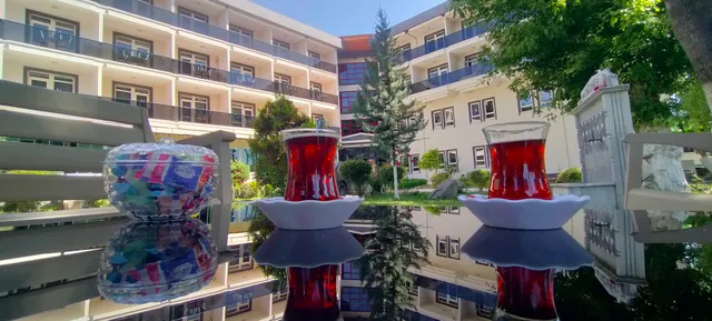 Hamamözü Termal Otel