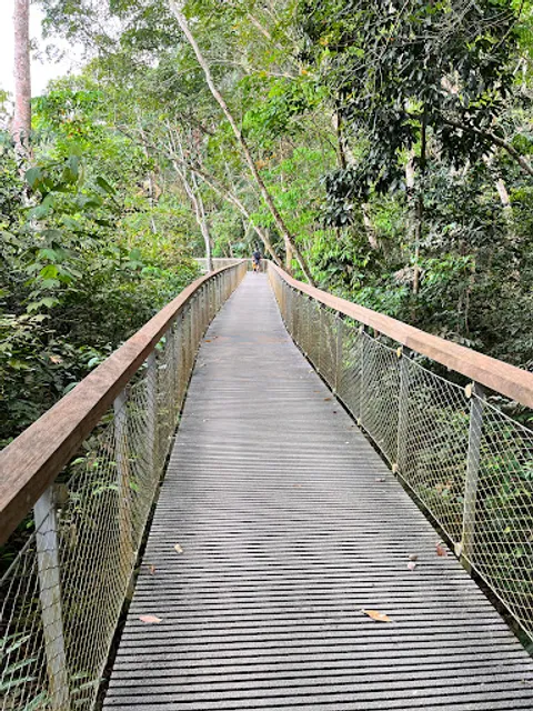 Macritchie Treetop Walk Trailhead