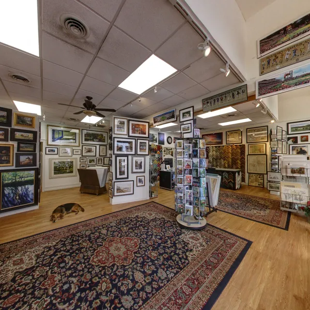 Visual Expansion Gallery