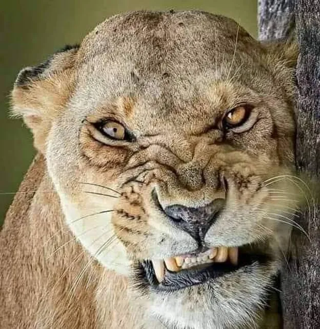 West Side Party Store