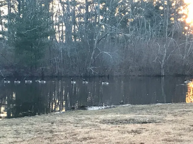 Bear Swamp Natural Area