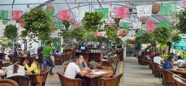 La Plantería Vivero Café