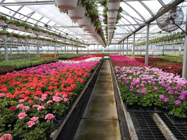 Hallock's U-Pick Farm & Greenhouse LLC