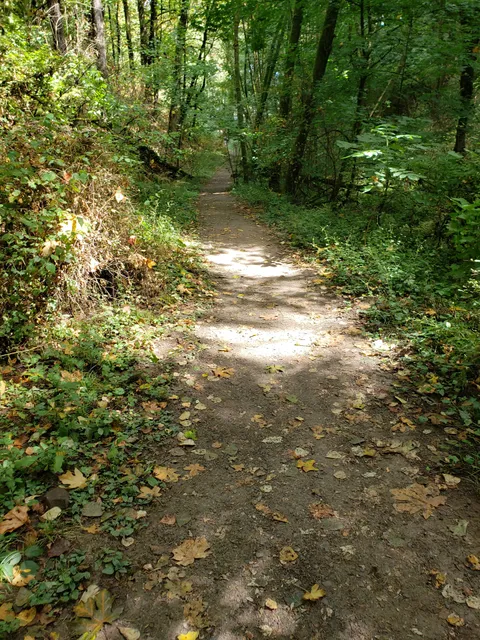 George Himes City Park